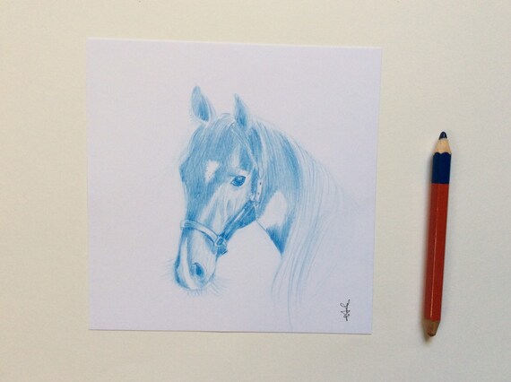 Original Drawing A Horse Head With A Blue Pencil Etsy
