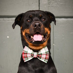 Red & Green Plaid Tartan Dog Collar Bow Tie