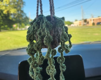 Crochet car plant, crochet string of turtle plant