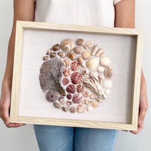 Sea Fan and Shell Mosaic Shadow Box Art with Glass Enclosure