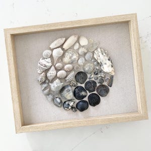 May include: A rectangular light wood shadow box frame containing a circular arrangement of various seashells. The collection transitions in color from white and cream shells on the left to dark grey and black shells on the right, set against a beige fabric backing.