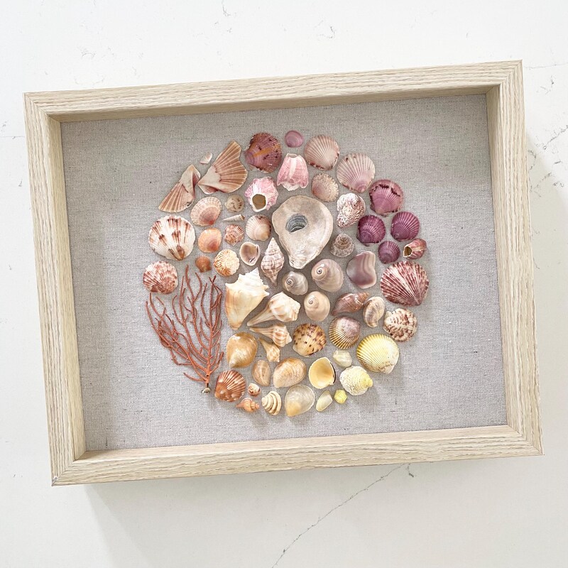 Shell Art Shadow Box - Etsy