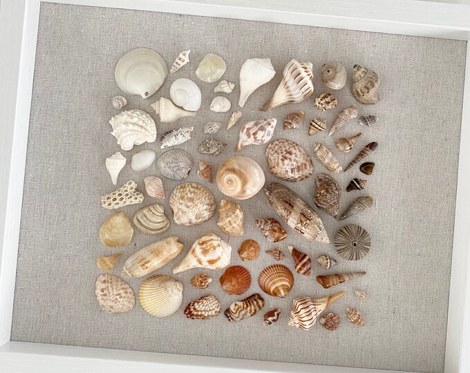 Best Friend // Coastal Decor // Shell Shadow Box by Sanibelshellart - Etsy