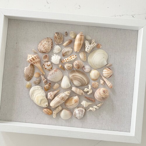 Coconuts // Coastal Decor // Shell Shadow Box by Etsy