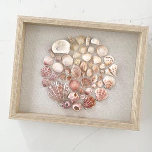 May include: A framed collection of seashells arranged in a circular pattern. The shells vary in size, shape, and color, with shades of white, pink, and brown. The frame is made of light-colored wood, and the background is a neutral linen fabric.