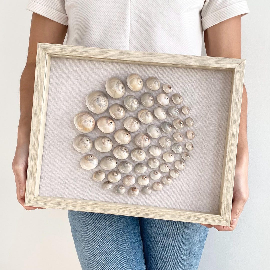 Geometric Shell Shadow Box Art With Glass Enclosure - Etsy