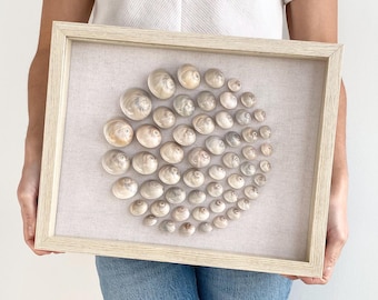 Geometric Shell Shadow Box Art with Glass Enclosure