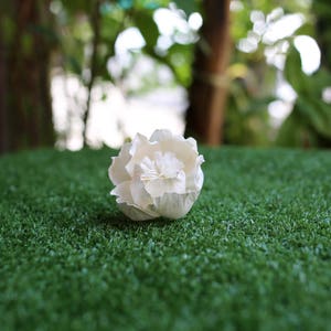 Könnte beinhalten: Eine einzelne weiße Blume mit einem zarten, geschichteten Design liegt auf einer grünen künstlichen Grasfläche.