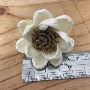 50 Lotus&Popinac 5 Cm Dia. Sola Wood Flowers Artificial Flower for decoration wholesale Shop Diffuser Handmade Spa Wedding Craft image 4