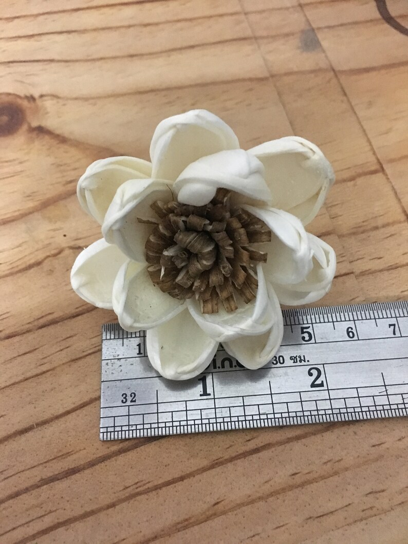 50 Lotus&Popinac 5 Cm Dia. Sola Wood Flowers Artificial Flower for decoration wholesale Shop Diffuser Handmade Spa Wedding Craft image 4