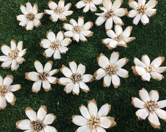 50 Handmade Sola Wood Flowers, 5cm Dianthus for Diffuser, Wedding, Craft
