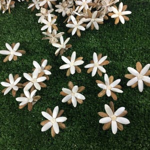 100 Combretum indicum 4cm dia Flower Diffuser Handmade Decor Sola Wood Wholesale