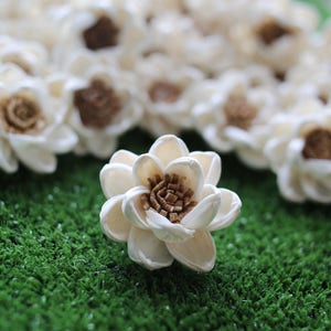 50 Lotus&Popinac 5 Cm Dia. Sola Wood Flowers Artificial Flower for decoration wholesale Shop Diffuser Handmade Spa Wedding Craft image 2