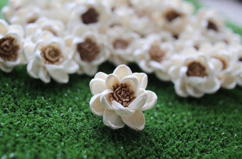 50 Lotus&Popinac 5 Cm Dia. Sola Wood Flowers Artificial Flower for decoration wholesale Shop Diffuser Handmade Spa Wedding Craft image 2