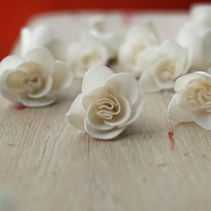 May include: A collection of white sola wood flower buds arranged on a light brown wooden surface. The flowers are delicate and have a slightly textured appearance.