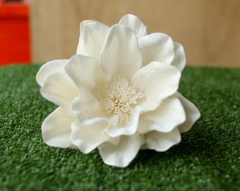 Può includere: Un singolo fiore bianco di legno di sola con un centro a strati. Il fiore è su una superficie verde.