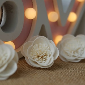 50  Mexican Aster 5Cm Dia.  Sola Wood Flowers  Artificial Flower for decoration wholesale  Shop Diffuser Handmade Spa Wedding Craft