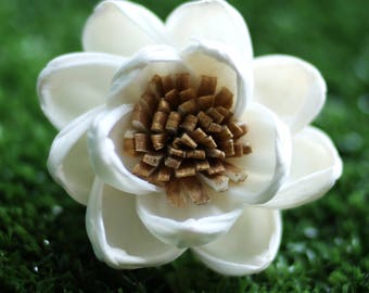 50 Lotus&Popinac 5 Cm Dia. Sola Wood Flowers Artificial Flower for decoration wholesale Shop Diffuser Handmade Spa Wedding Craft