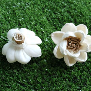 50 Lotus&Popinac 5 Cm Dia. Sola Wood Flowers Artificial Flower for decoration wholesale Shop Diffuser Handmade Spa Wedding Craft image 3