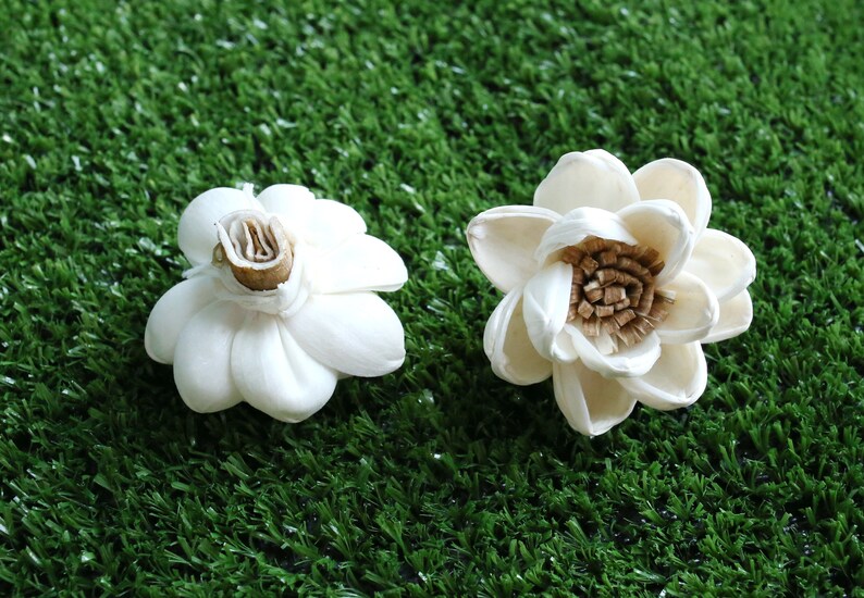 50 Lotus&Popinac 5 Cm Dia. Sola Wood Flowers Artificial Flower for decoration wholesale Shop Diffuser Handmade Spa Wedding Craft image 3