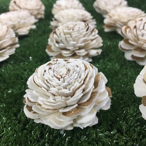 50 Jasmine with Brown 5cm cm dia Flower Diffuser Handmade Sola Wood Wholesale Spa Wedding Craft