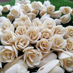 May include: A collection of small, white, wooden roses. The roses are arranged in a cluster and have a natural, rustic look.