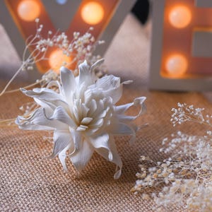 50 PCS. Magnolia doltsopa 6 Cm (2.4 inch) . Sola Wood Artificial Flower decoration Bouquet, Wholesale Shop Diffuser ,Handmade Spa ,Wedding