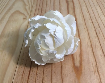 Può includere: Un singolo fiore bianco di legno di sola, che ricorda una peonia, con una texture leggermente arricciata. Il fiore è appoggiato su una superficie di legno marrone chiaro.