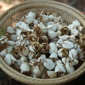May include: A woven basket filled with dried white and brown flower buds, resembling roses.