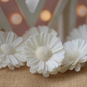 May include: Close-up of several white daisy-like flowers with textured petals and a central, textured core. The flowers are arranged on a tan, textured surface. Soft lighting and a blurred background with the word "LOVE" in the background.