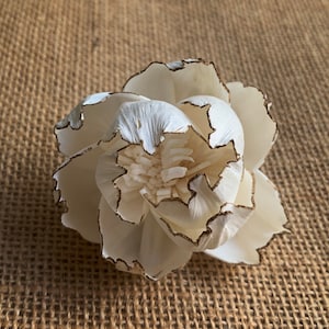 50 Pieces of Peony Brown Edge 5cm. diameter Sola Wood Flowers  Artificial Flower decoration Wholesale Diffuser Handmade Spa Wedding Craft