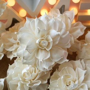 15 Dahlias petal roll 8 cm dia. Sola Wood Flowers Wholesale Diffuser Handmade Spa Wedding Craft Wedding