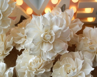 May include: A close-up of a group of white sola wood flowers. The flowers are arranged in a cluster and have a delicate, papery texture.