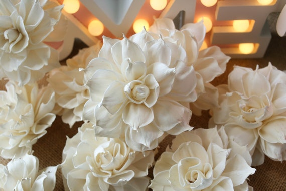 15 Dahlias Petal Roll 8 Cm Dia Sola Wood Flowers Wholesale Etsy