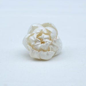 Könnte beinhalten: Eine einzelne weiße Sola-Blume, die einer Rose ähnelt, mit zarten Blütenblättern und einer geschlossenen Knospe.
