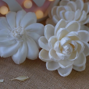 May include: A collection of white sola wood flower blossoms. The flowers are arranged on a burlap surface. The flowers have a delicate, papery texture.