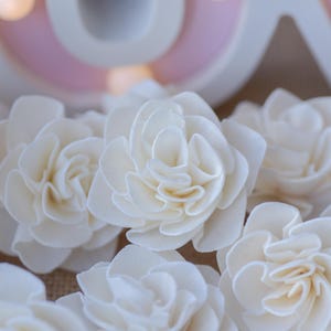 Puede incluir: Primer plano de un grupo de flores blancas de madera de sola. Las flores están dispuestas en un racimo y tienen un aspecto suave y delicado.