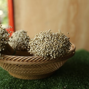 Könnte beinhalten: Ein geflochtener Korb gefüllt mit drei Büscheln getrockneter weißer Blumen. Der Korb steht auf einer grünen Oberfläche.