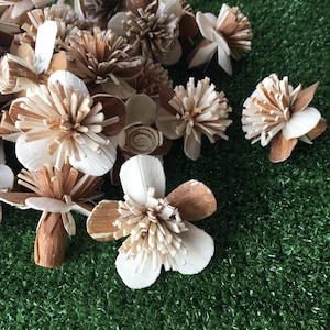 50 AllamanWhiteBrown 5cm dia Sola Wood Flowers Artificial Flower for decoration wholesale Shop Diffuser Handmade Spa Wedding Craft
