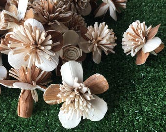 50 AllamanWhiteBrown 5cm dia Sola Wood Flowers Artificial Flower for decoration wholesale Shop Diffuser Handmade Spa Wedding Craft