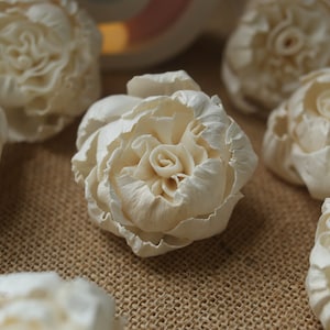 50 Peony inside Carnation 5cm dia  Sola Wood Flowers  Artificial Flower for decoration wholesale  Shop Diffuser Handmade Spa Wedding Craft