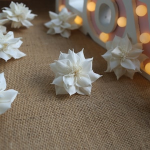 May include: White, star-shaped artificial flowers are scattered on a burlap surface. The flowers have multiple layers of petals and a textured center. In the background, a lighted sign spells out "LOVE" with warm-toned bulbs.