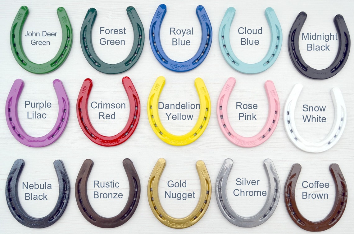 Powder Coated Horseshoe Cloud Blue Lucky Horseshoe Etsy Canada