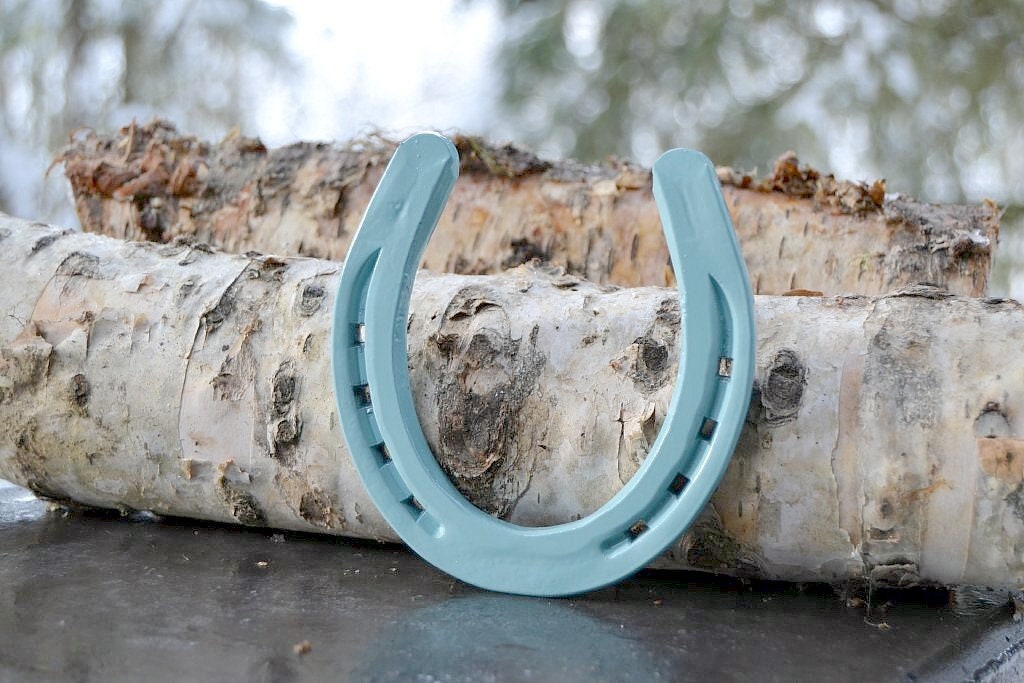 Powder Coated Horseshoe Cloud Blue Lucky Horseshoe Etsy Canada