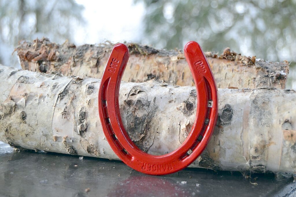 Powder Coated Horseshoe Crimson Red Painted Horseshoe Etsy UK