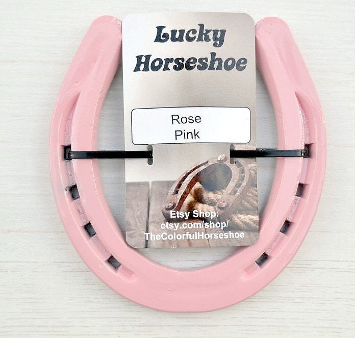 Powder Coated Horseshoe Pink Horseshoe Painted Horseshoe Etsy UK