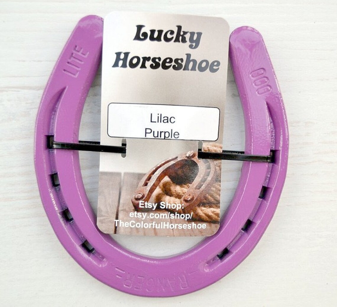 Powder Coated Horseshoe Purple Lilac Painted Horseshoe Lucky Horseshoe