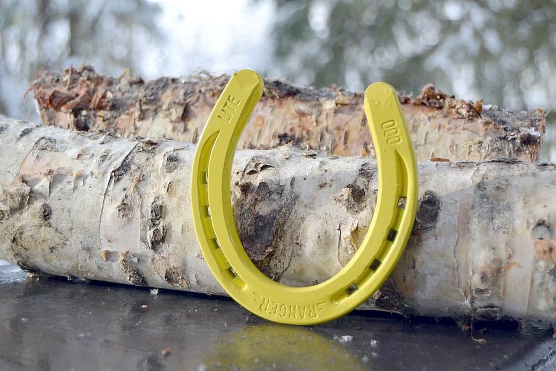 Powder Coated Horseshoe Painted Horseshoe Yellow Horseshoe Lucky