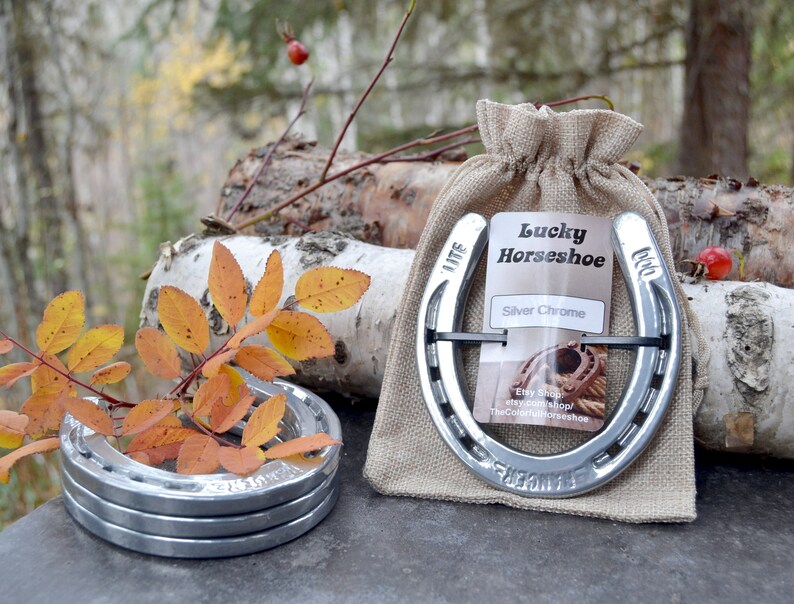 Powder Coated Horseshoe Chrome Horseshoe Silver Horseshoe Lucky
