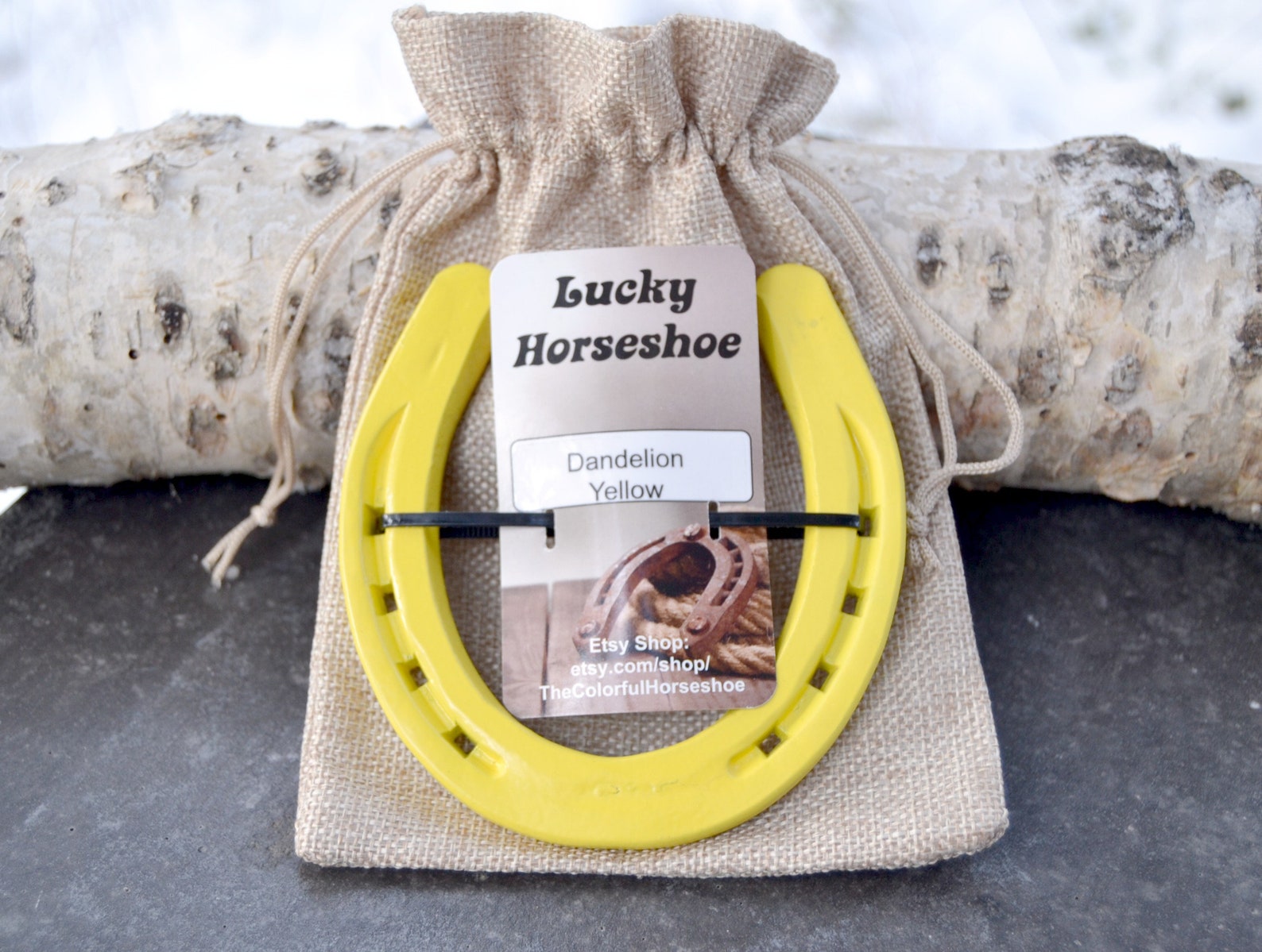 Powder Coated Horseshoe Pink Horseshoe Painted Horseshoe Etsy UK